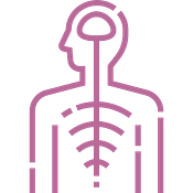 Anatomy and Physiology Course - Essentials Holistic