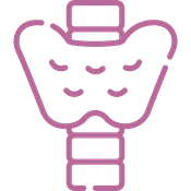 Anatomy and Physiology Course - Essentials Holistic