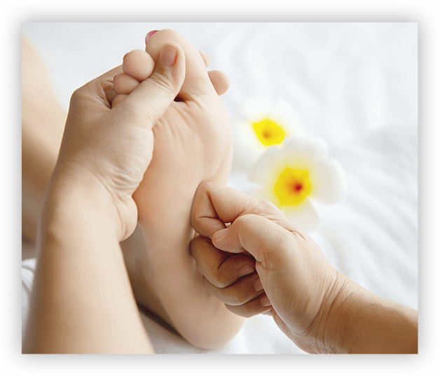 Reflexology Course Essentials Holistic